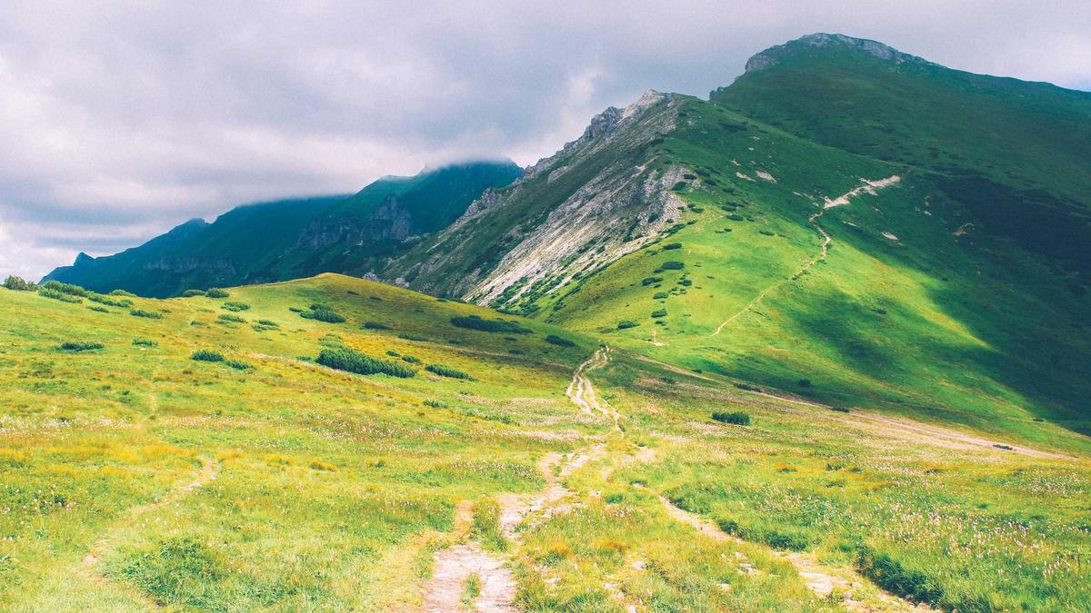 Detailansicht: Asteroid 2024 YR4