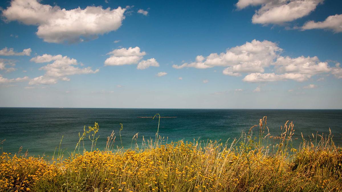 Detailansicht: Badische Zeitung