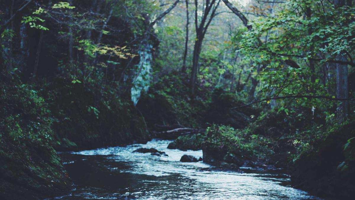 Symbolbild zum Thema Bam Adebayo