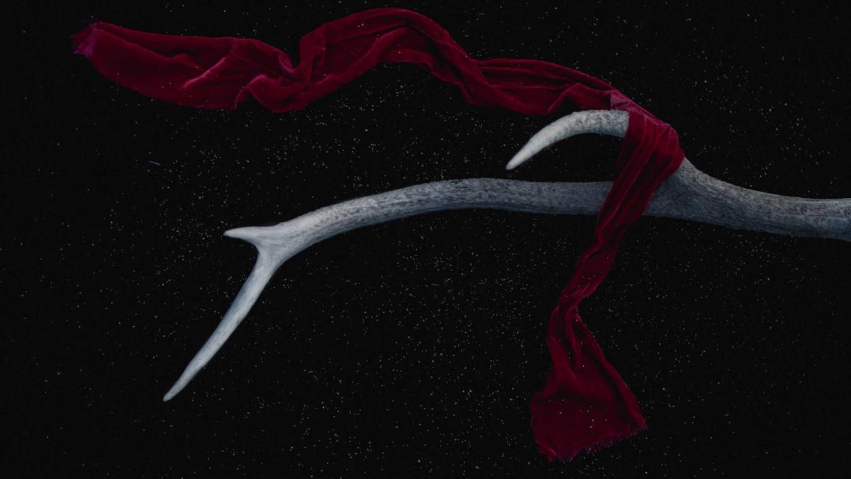 Detailansicht: Bodycams Zugpersonal