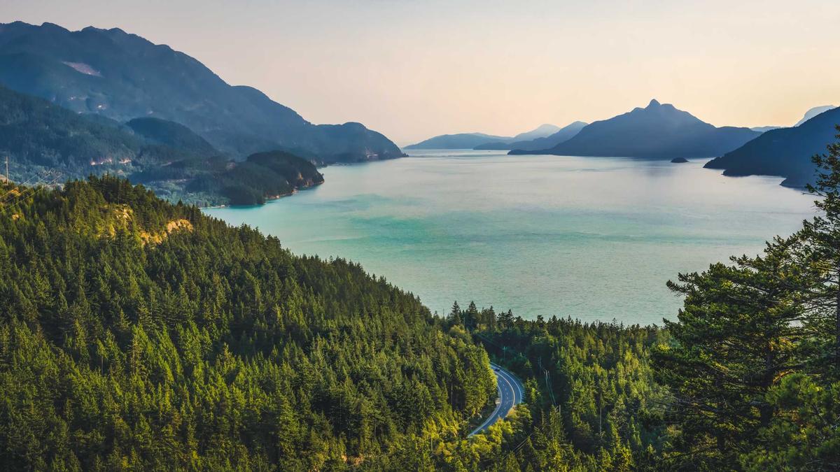 Illustration zu Brautalarm Reunion Oscars