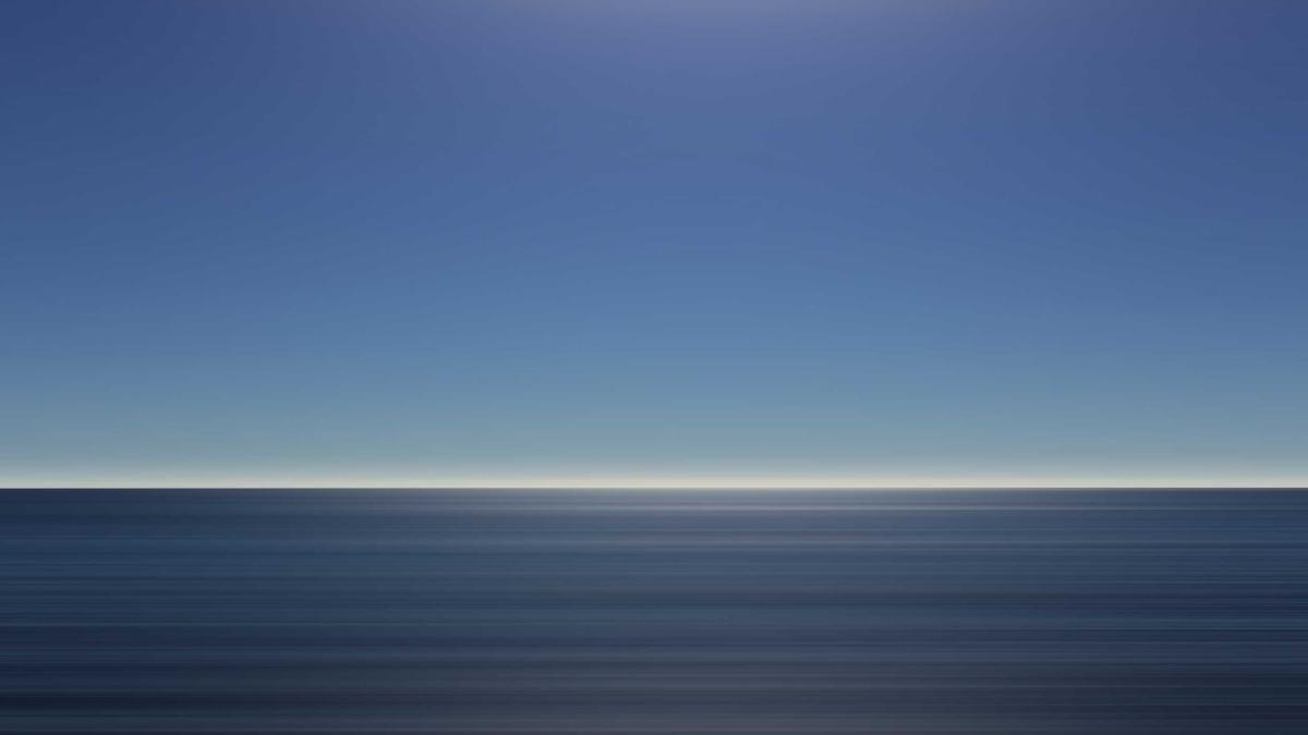 Illustration zu Buckelwal Ostsee