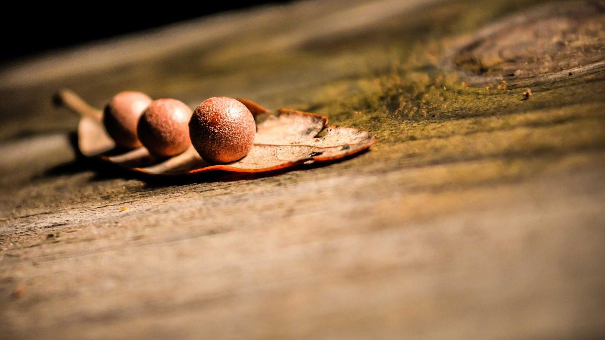 Detailansicht: Charles Melton Vater