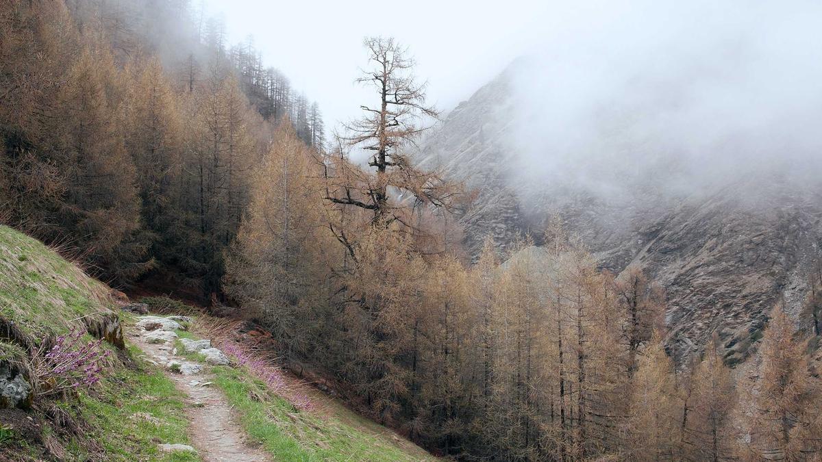 Symbolbild zum Thema Chiara Ferragni Neuer Freund