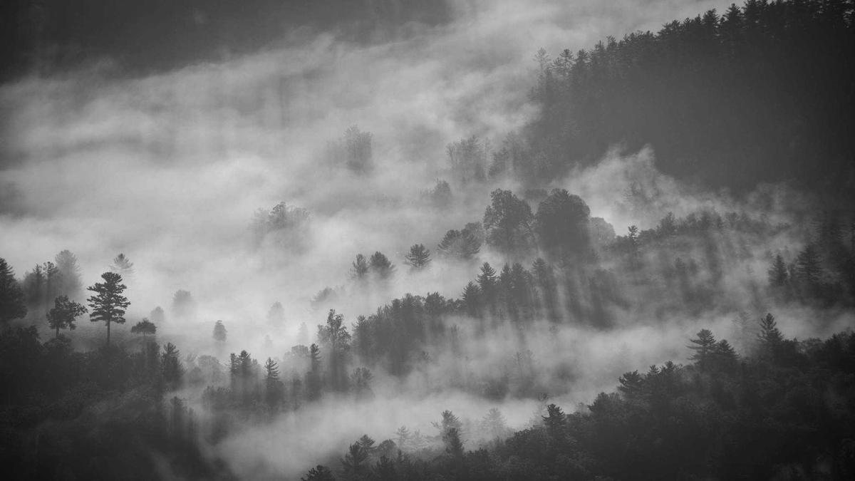 Detailansicht: Chietres Fribourg