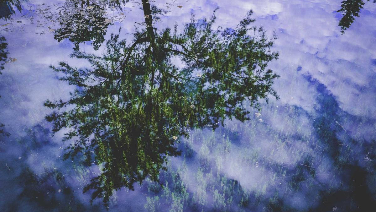 Christopher Seiler Musiker Detailansicht: Christopher Seiler Musiker