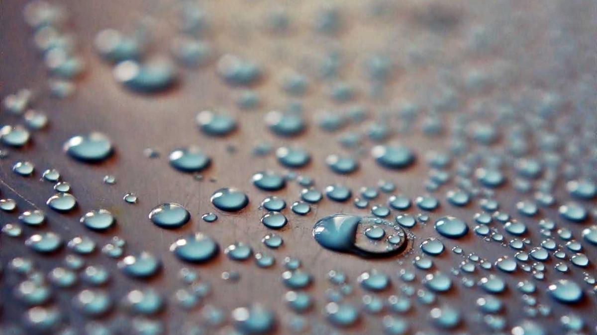 Detailansicht: Das Große Promibacken