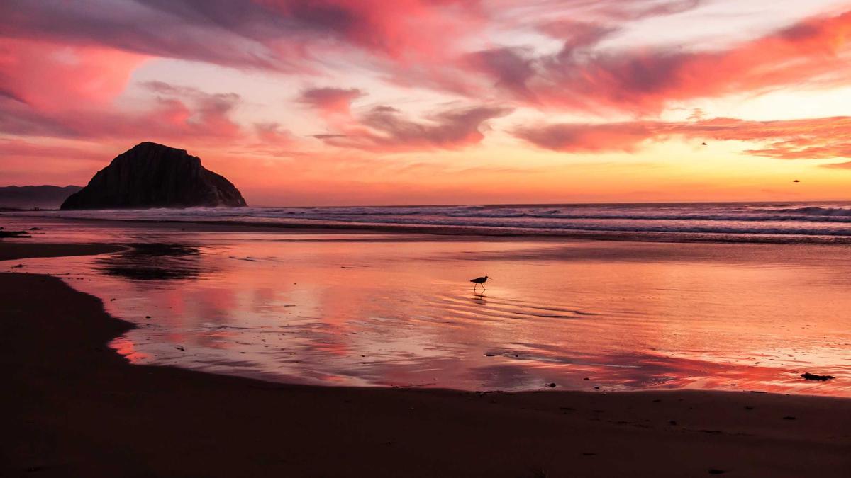 Illustration zu DHL Jahreszahlen