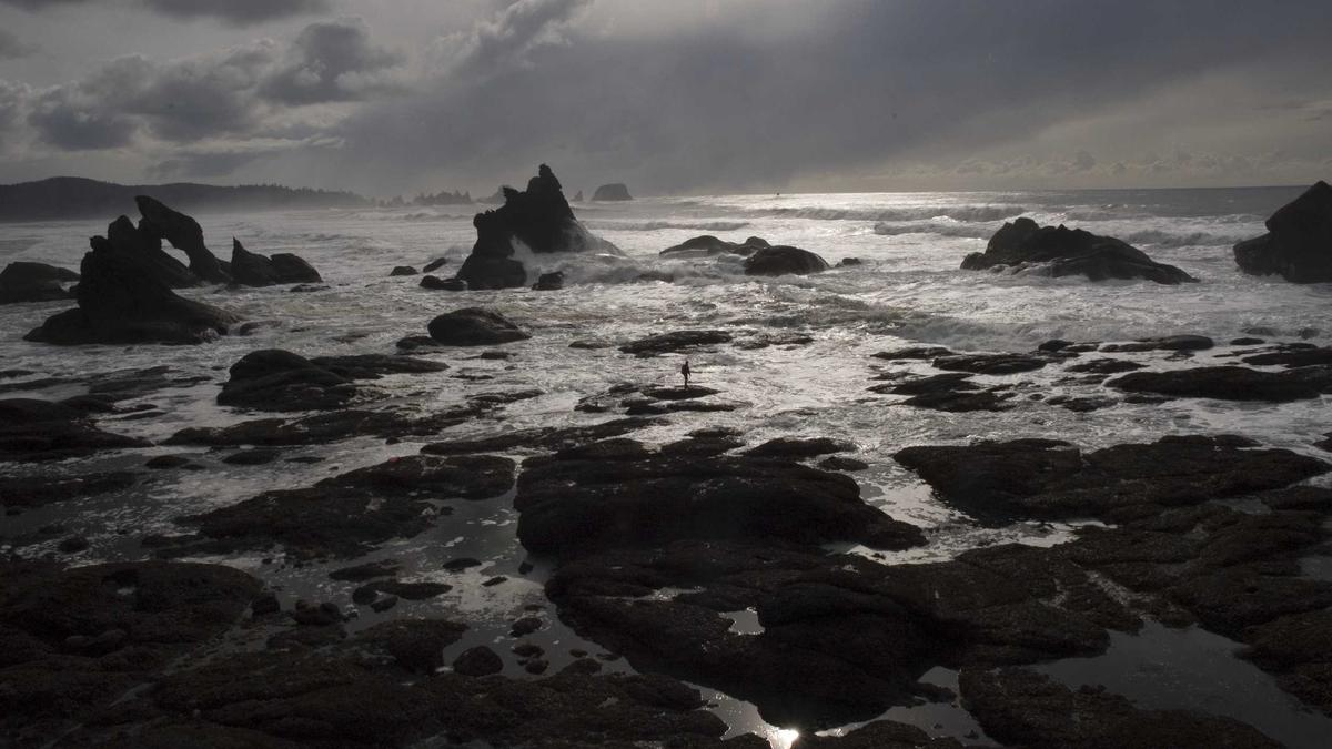 Illustration zu Diddy Haftentlassung