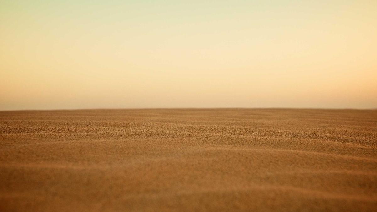 Illustration zu Donald Trump