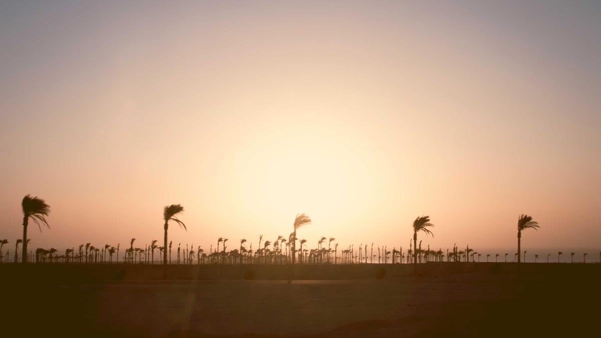 Fahrradschloss Alarm Detailansicht: Fahrradschloss Alarm