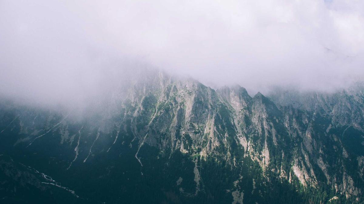 Detailansicht: Fehldiagnose Spital