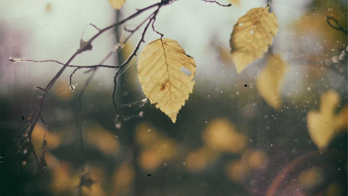 Symbolbild zum Thema Flugzeugabsturz Kolumbien