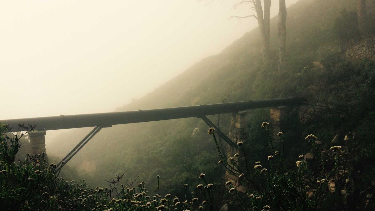 Detailansicht: Fpö Gesundheitspolitik