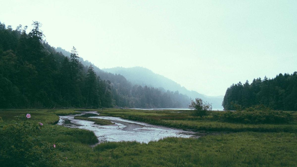 Symbolbild zum Thema Franjo Pooth Verona