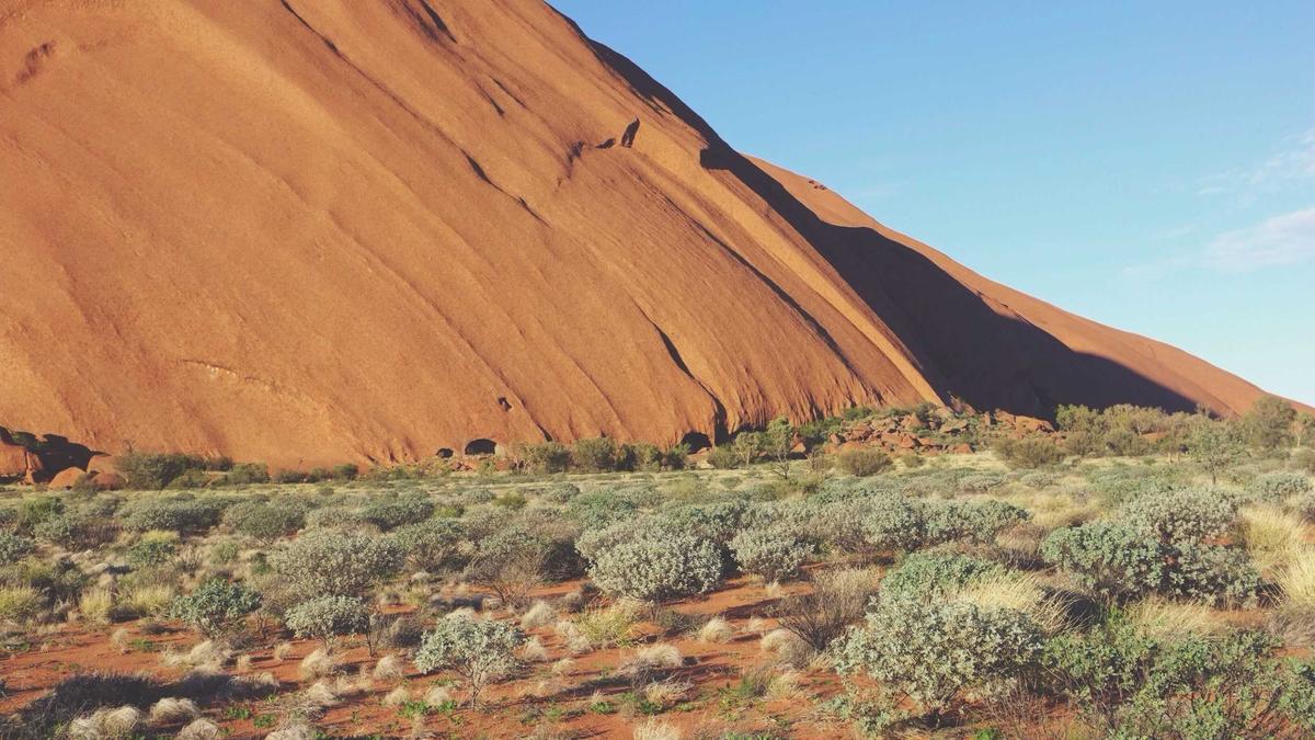 Detailansicht: Fribourg Gotteron