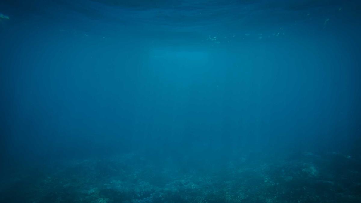 Symbolbild zum Thema Frühjahrsmüdigkeit Mythos