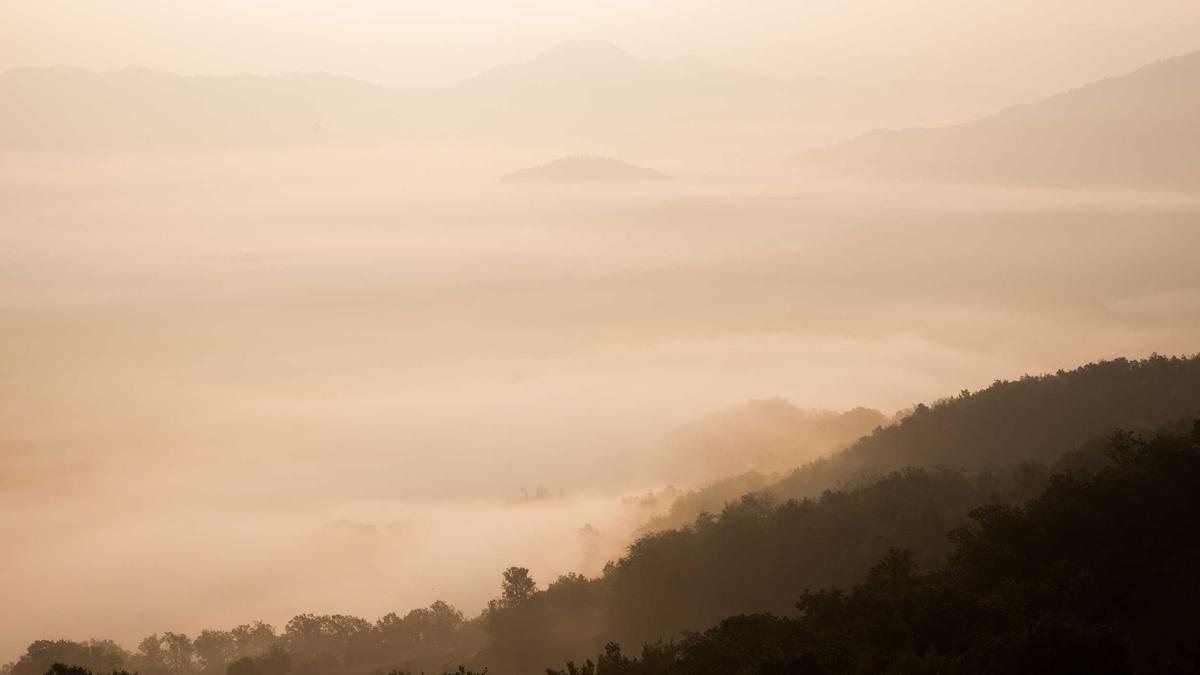 Detailansicht: Gastronomie Insolvenzen
