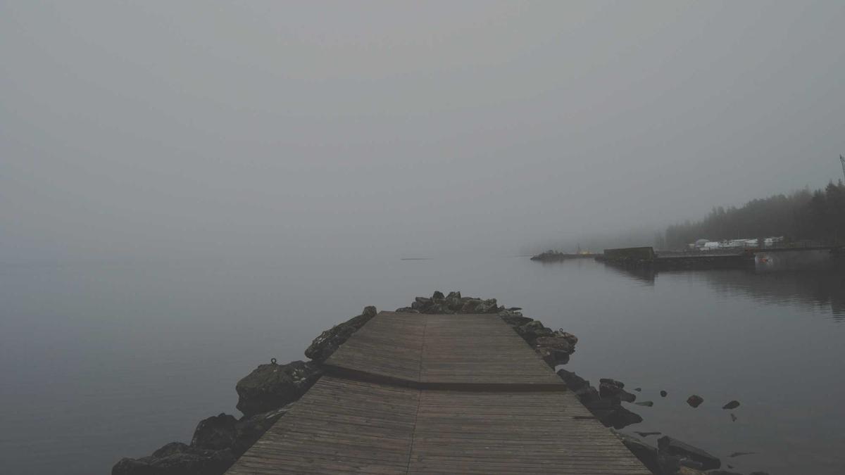 Detailansicht: Gernot Messner