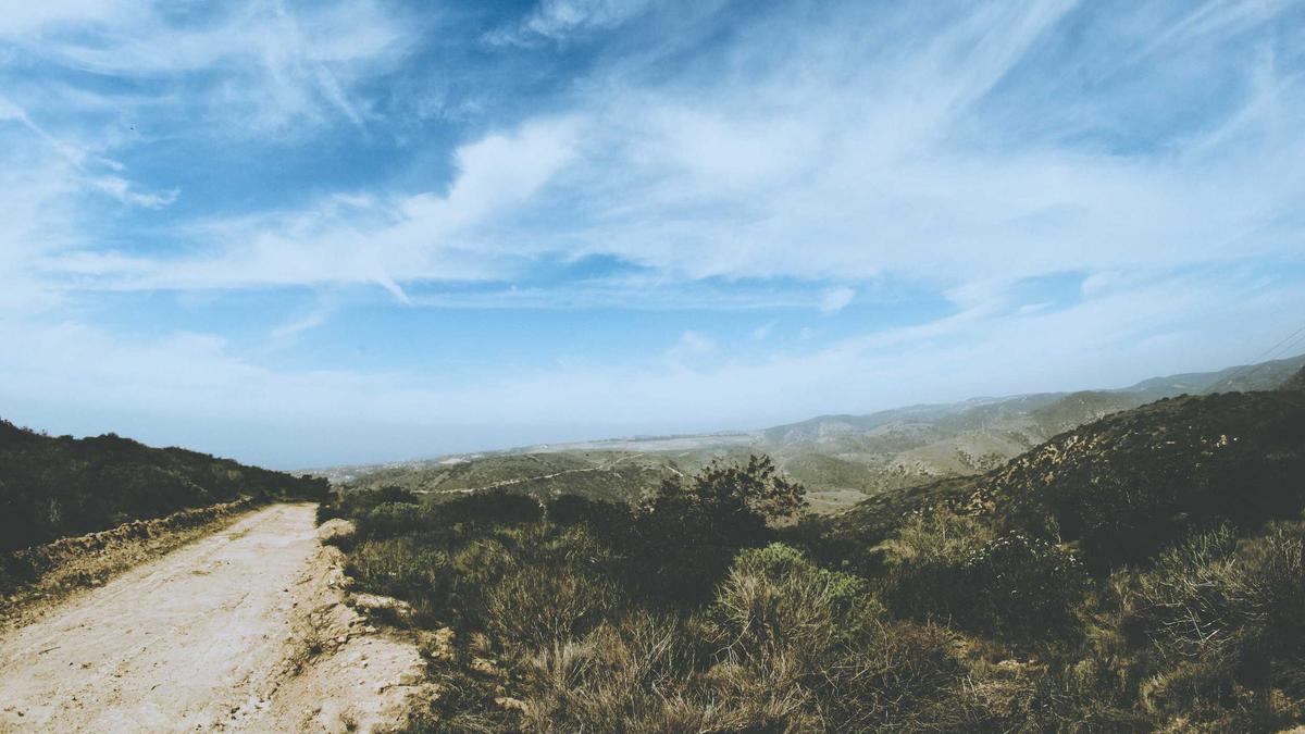 Symbolbild zum Thema Gil Vicente - Benfica