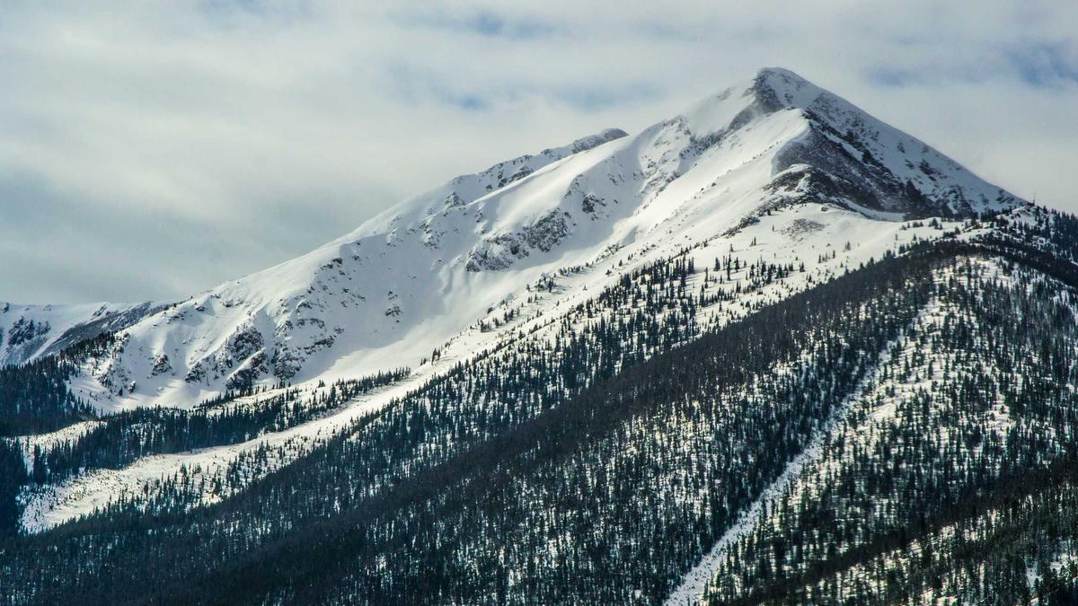 Detailansicht: GNTM Wer Ist Raus Männer