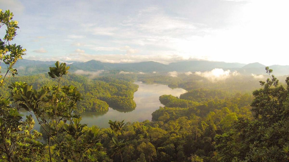 Symbolbild zum Thema Gülcan Kamps Baby