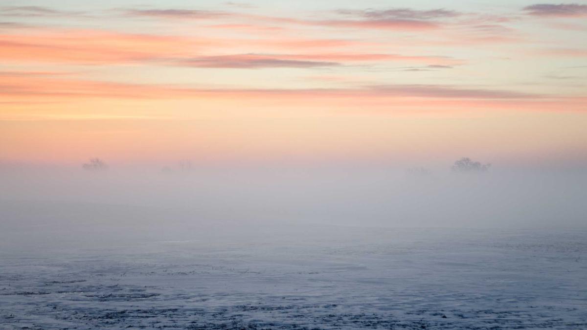 Detailansicht: Halbleiterkrise Nexperia