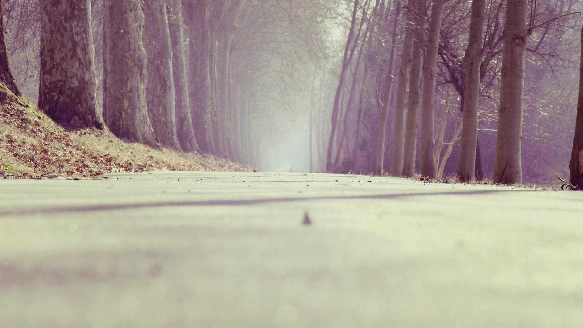 Illustration zu Hanna Zimmermann