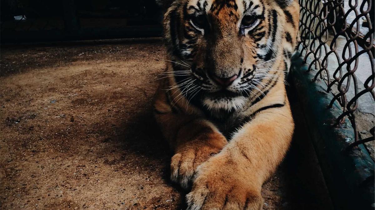 Symbolbild zum Thema Helen Hunt Tochter