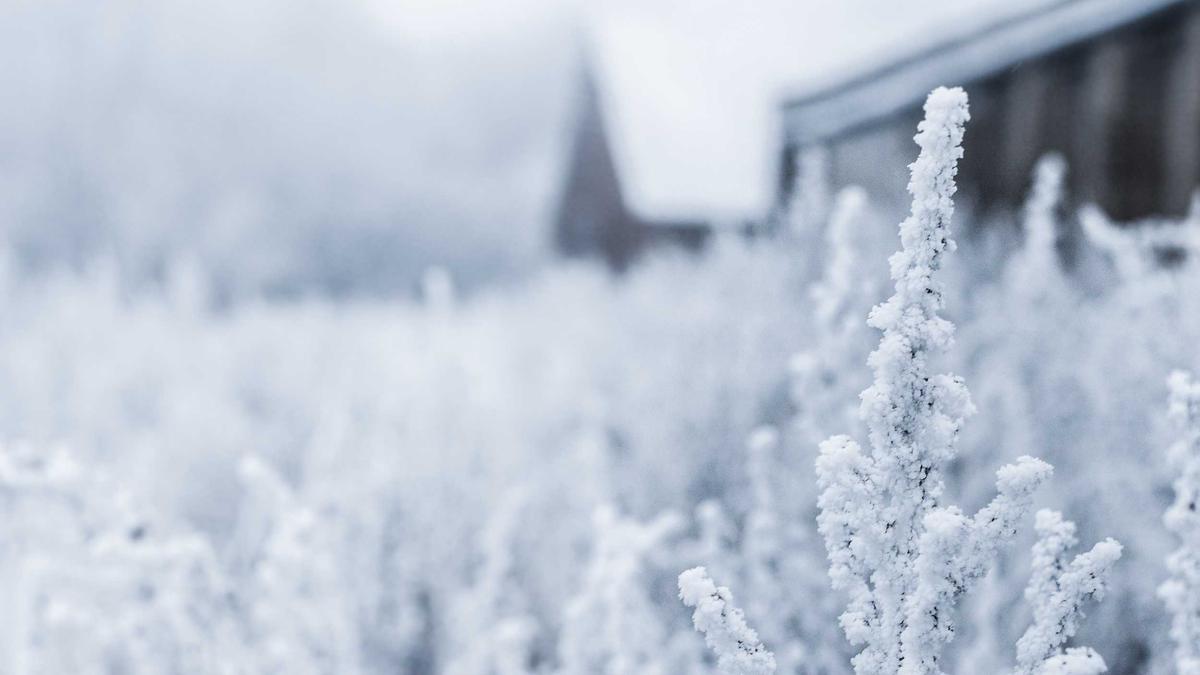 Symbolbild zum Thema Ig Nobelpreis