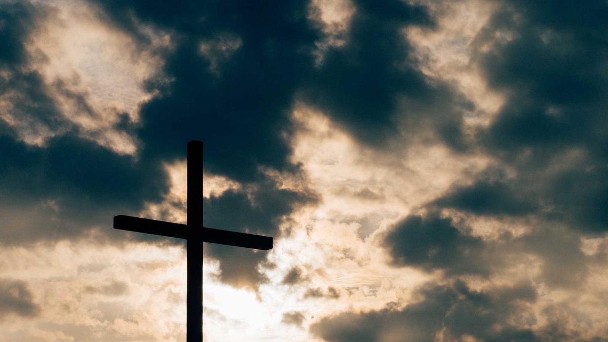 Detailansicht: Lawine Südtirol