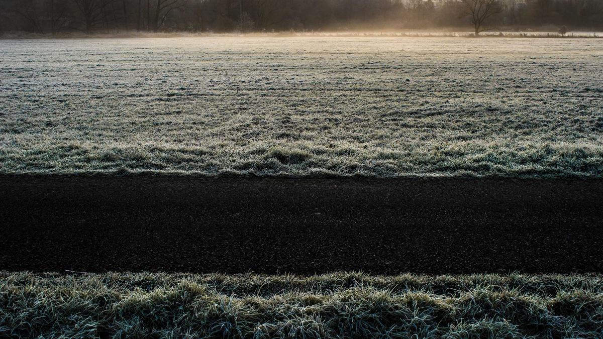 Detailansicht: Le Matin