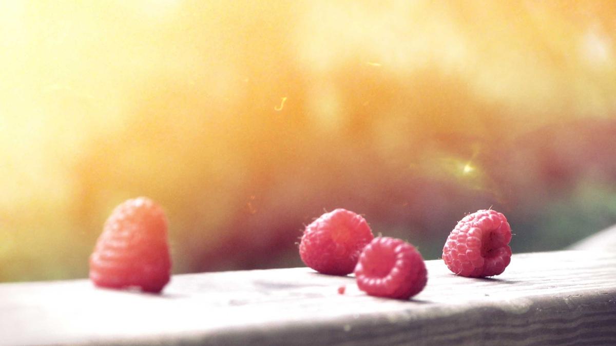 Detailansicht: Lindt Goldhase