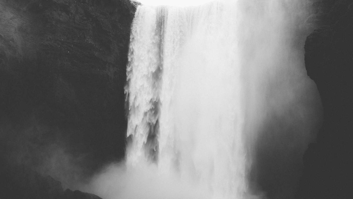 Illustration zu Lisa Bitter