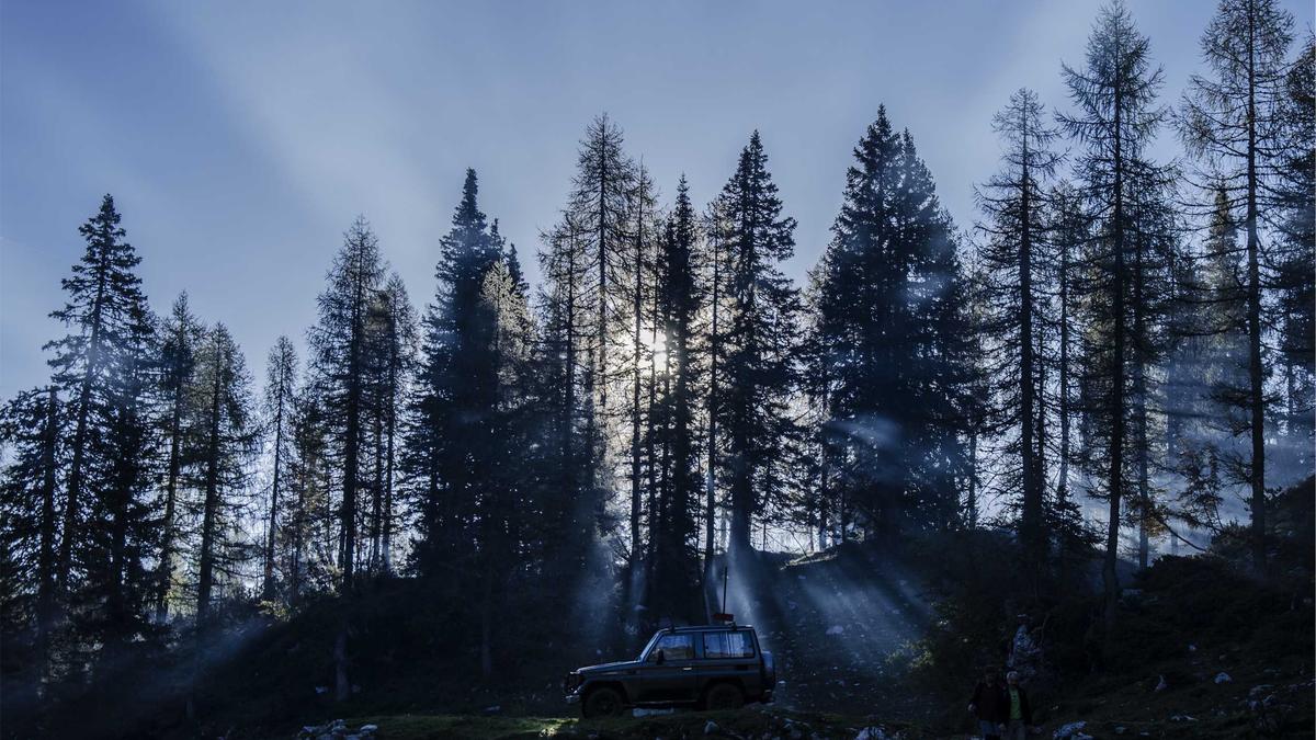 Luftraumsperrung Nahost Detailansicht: Luftraumsperrung Nahost