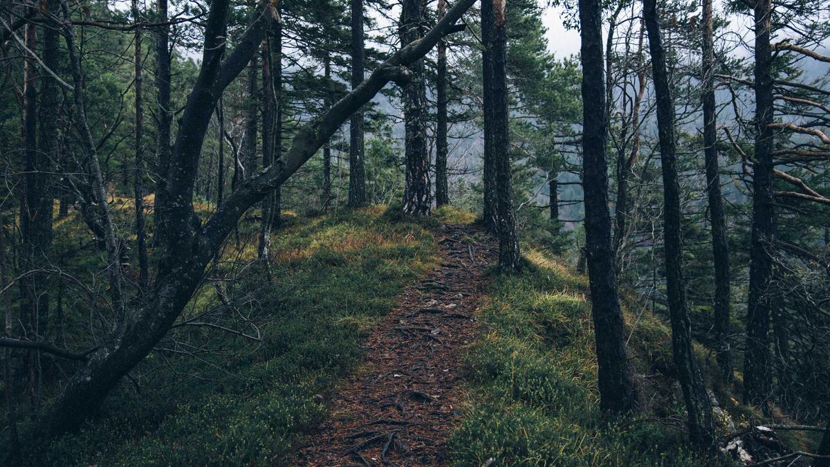 Illustration zu Manuel Neuer