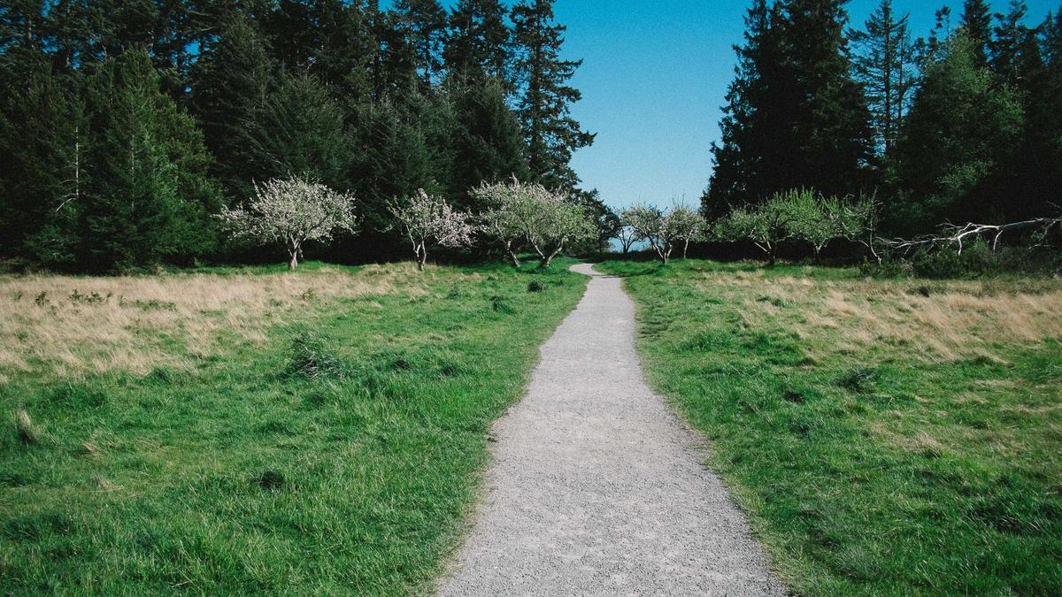 Symbolbild zum Thema Martín Landaluce