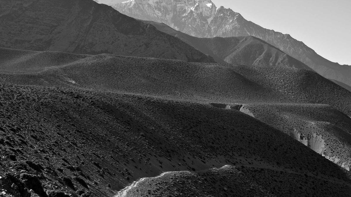 Illustration zu Mavericks – Hawks