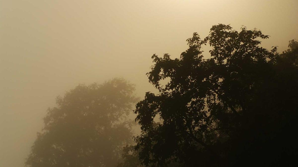 Detailansicht: Meteorit Rheinland Pfalz