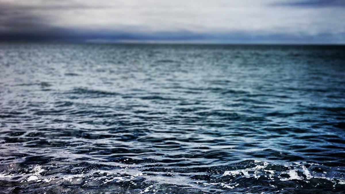 Symbolbild zum Thema Moos Im Rasen