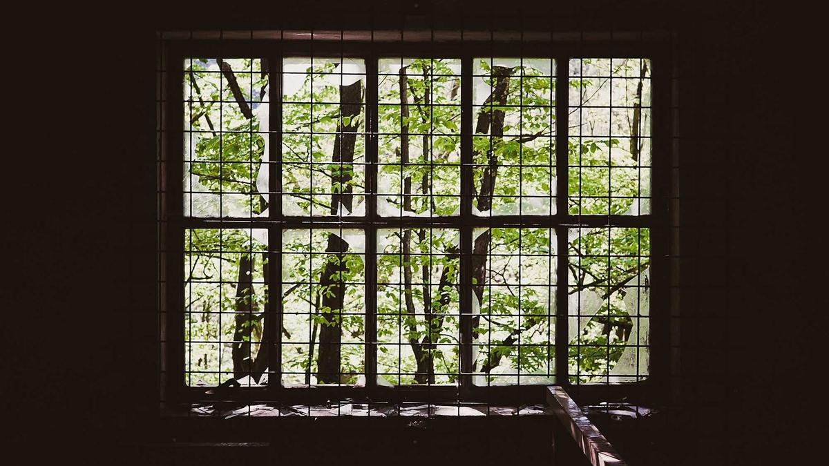 Symbolbild zum Thema MR Nobody Against Putin