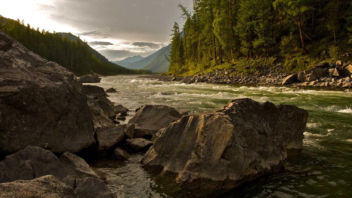 Illustration zu One Of These Days Film