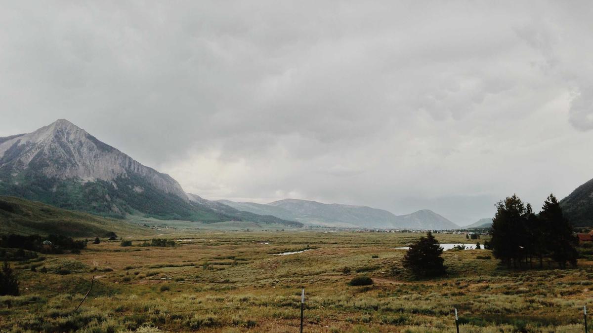 Detailansicht: Peter Maffay