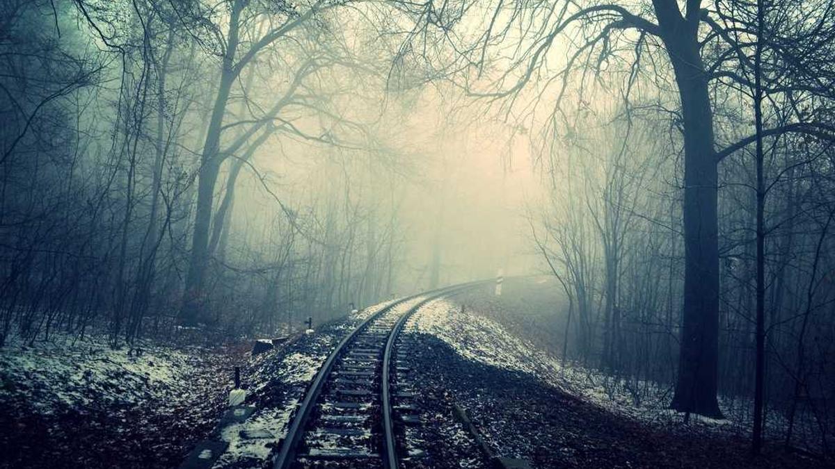 Detailansicht: Roger Cicero Karriere