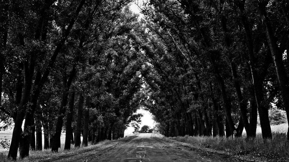 Symbolbild zum Thema Roland Garros