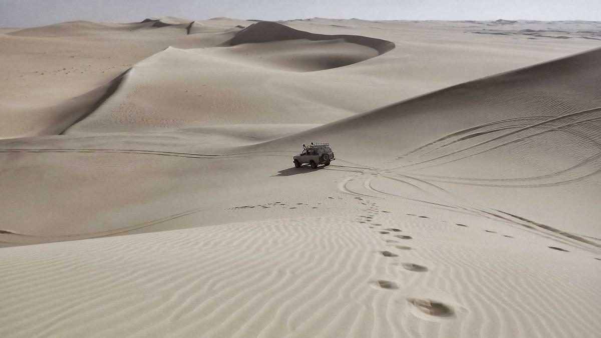 Ryan Gosling Illustration zu Ryan Gosling