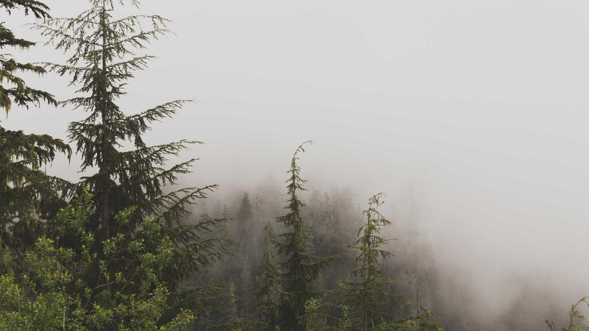 Symbolbild zum Thema Sandro Tonali