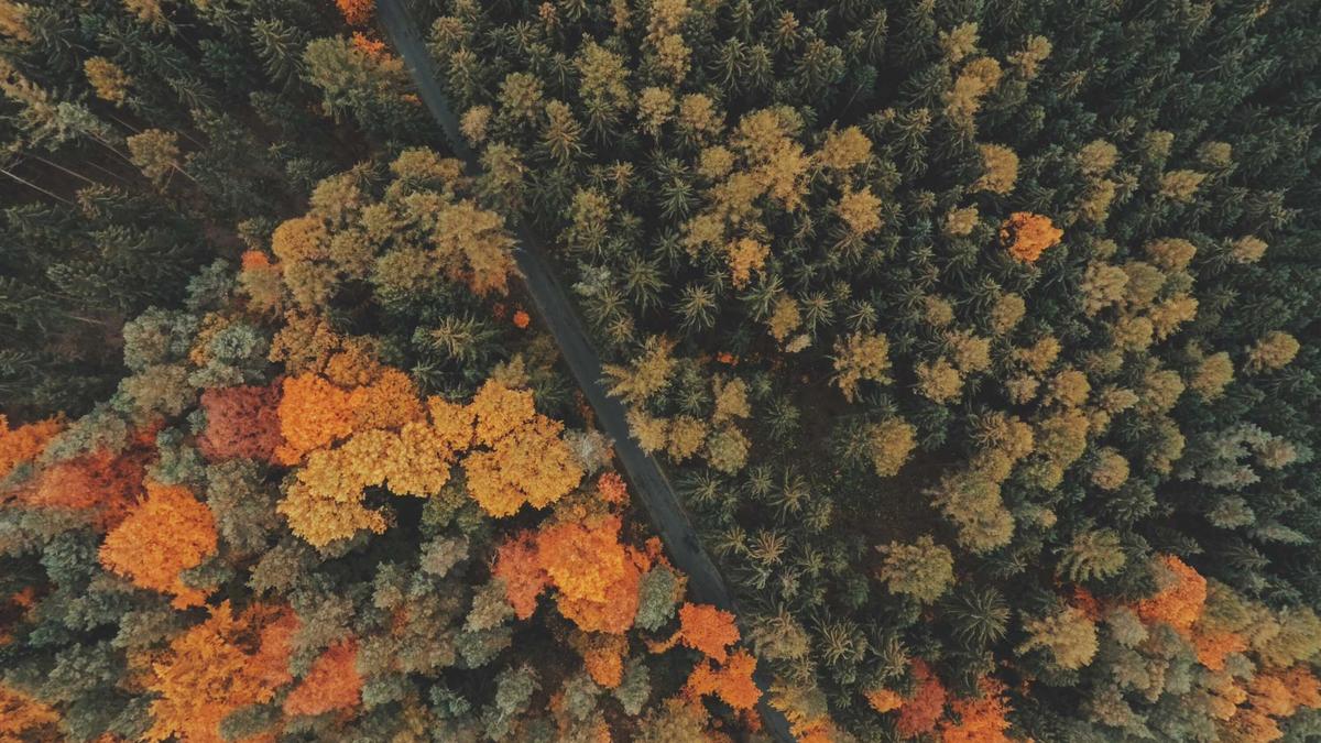 Illustration zu Satire Fpö Steiermark