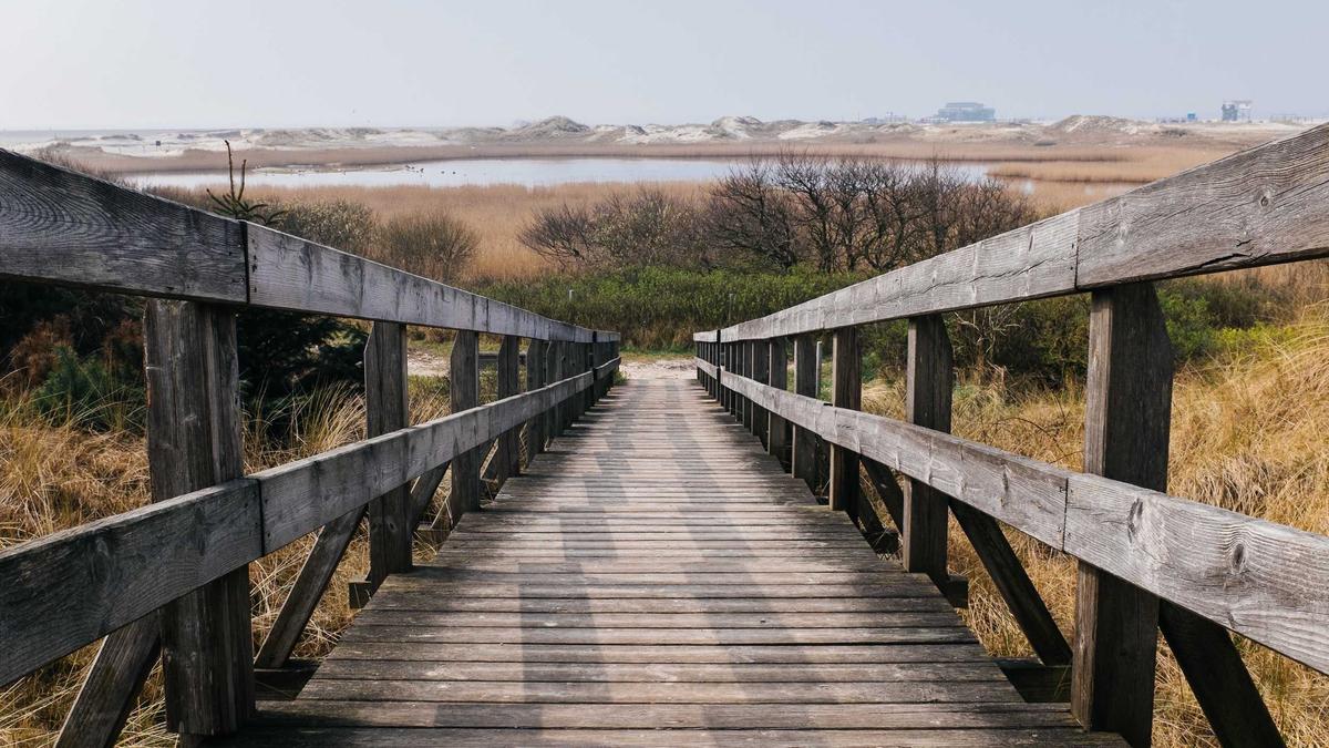 Symbolbild zum Thema Servustv On