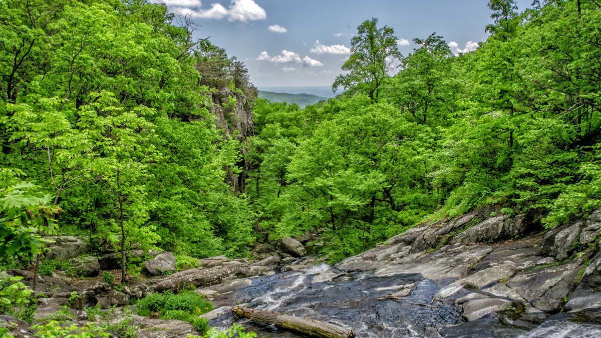 Illustration zu Sichtschutz Balkon